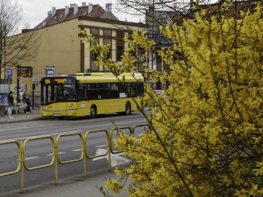 Od jutra nowe, wakacyjne rozkłady jazdy Od jutra nowe, wakacyjne rozkłady jazdy