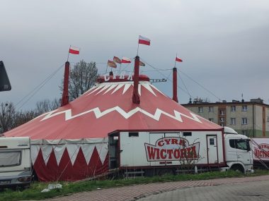 Występ Cyrku Wiktoria - dziś o godzinie 17.00