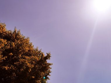 Pogoda w Rudzie daleka od burzowej Pogoda w Rudzie daleka od burzowej