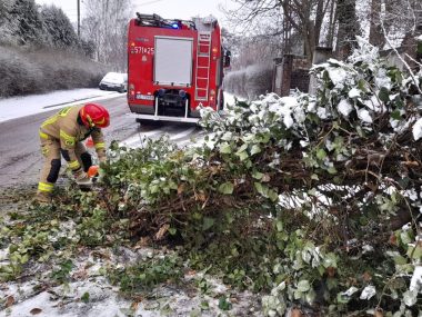 Rudzcy strażacy usuwali powalone drzewa Rudzcy strażacy usuwali powalone drzewa