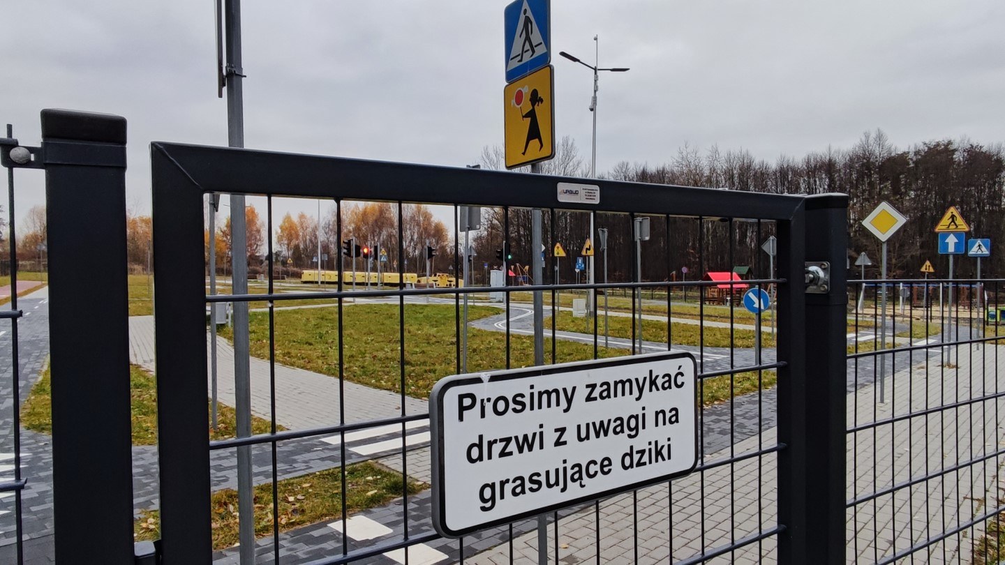 Najczęstszymi gośćmi Rudzkiego Miasteczka Ruchu Drogowego wydają się być dziki