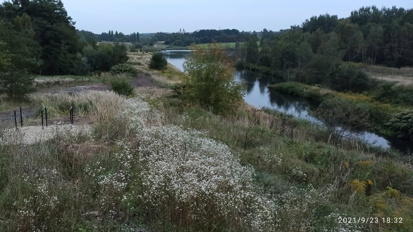 Dolina Kochłówki - doskonałe miejsce do wypoczynku w Rudzie Śląskiej