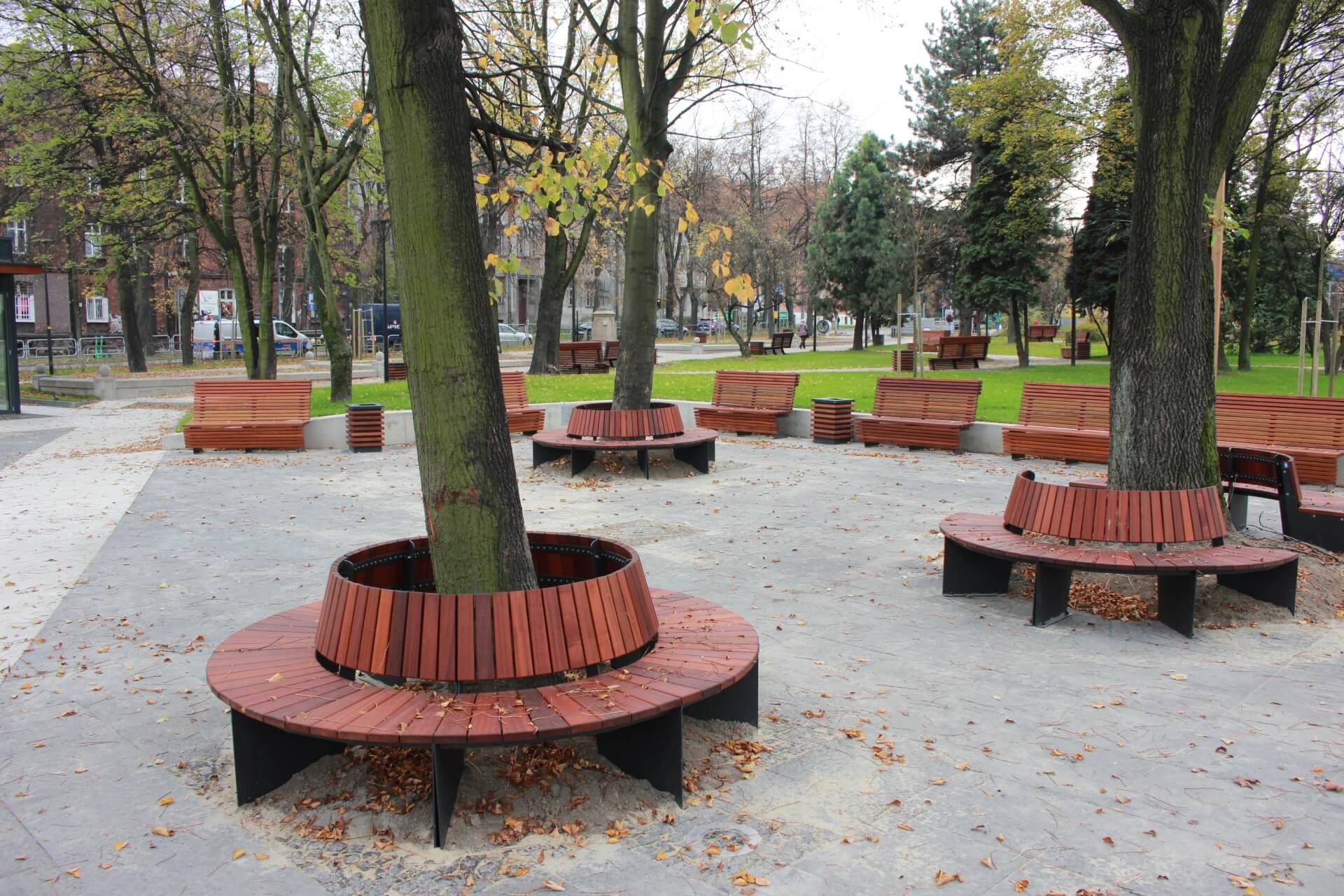 Stare drzewa zostały wkomponowane w nowy projekt