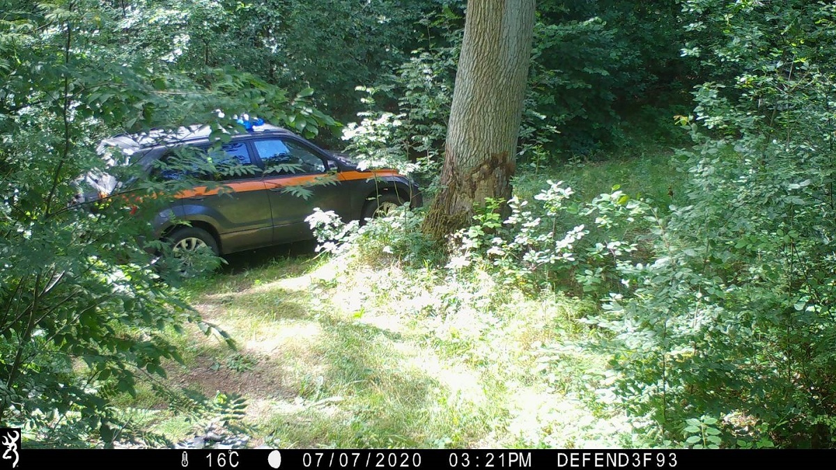 Samochód straż leśna