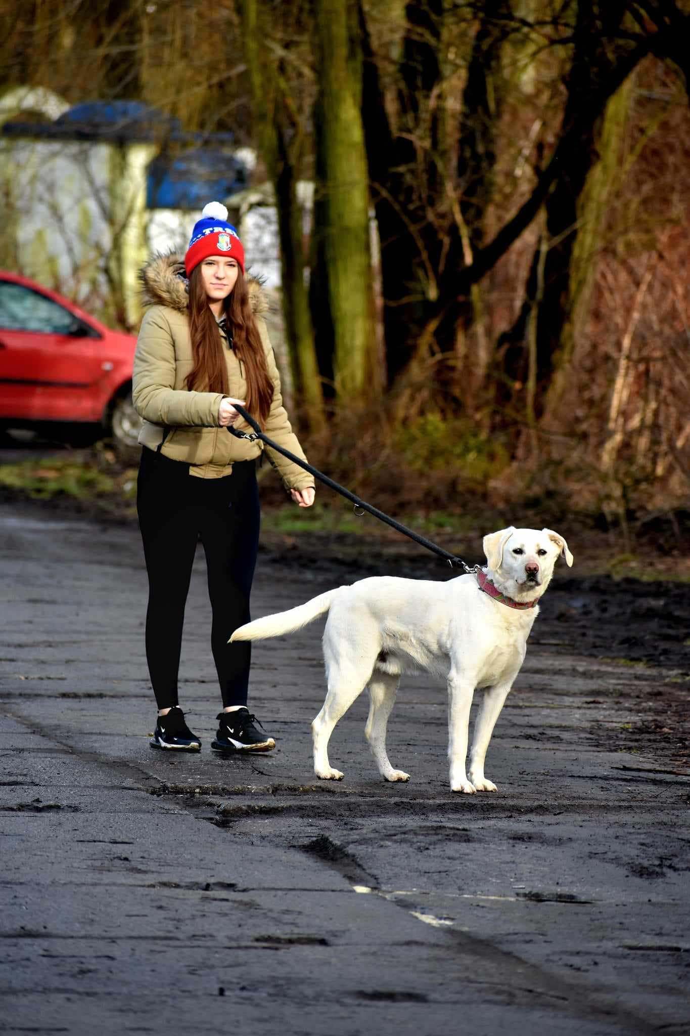 Zakochaj się w psiaku walentynki15