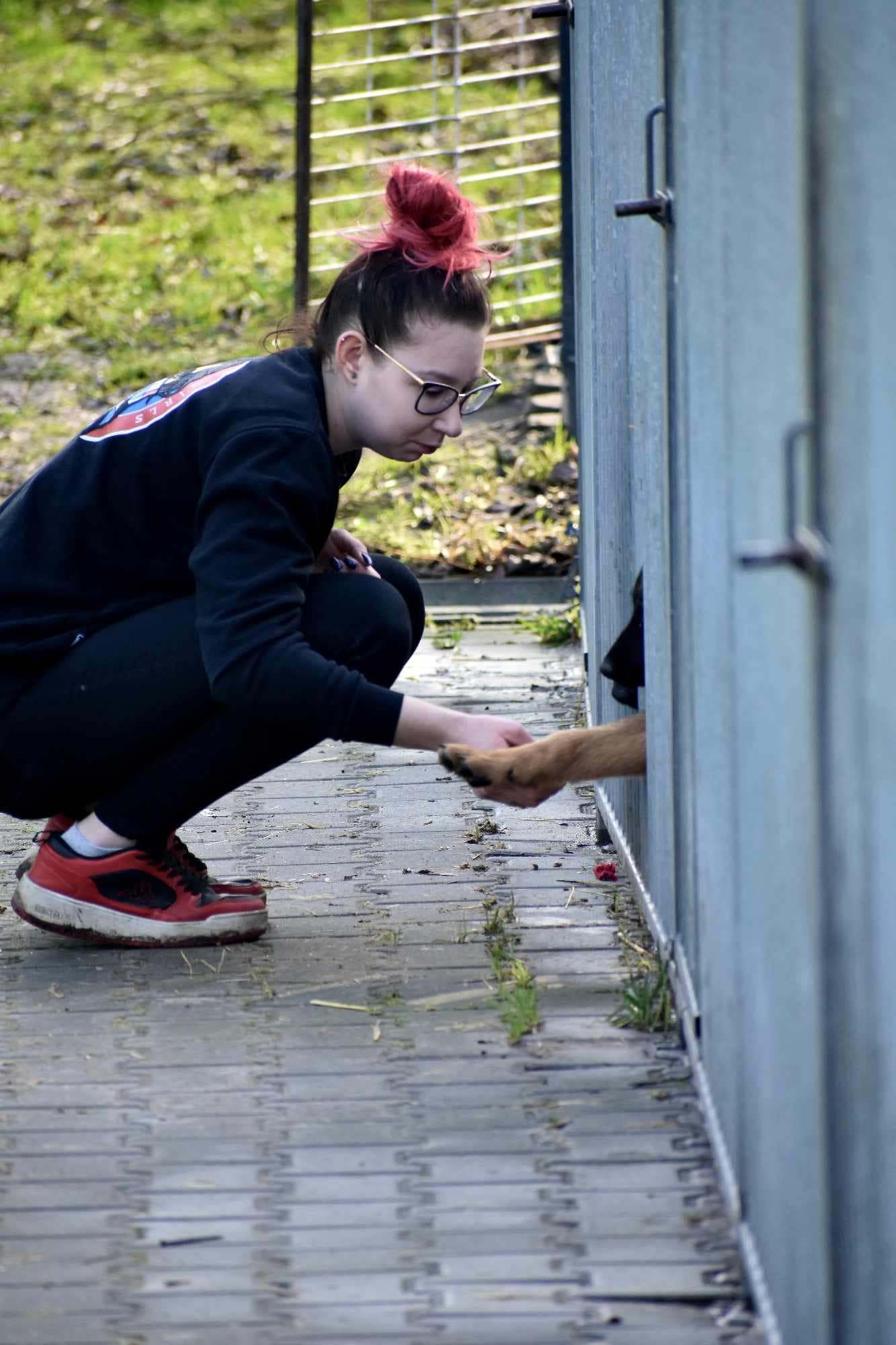 Zakochaj się w psiaku walentynki32