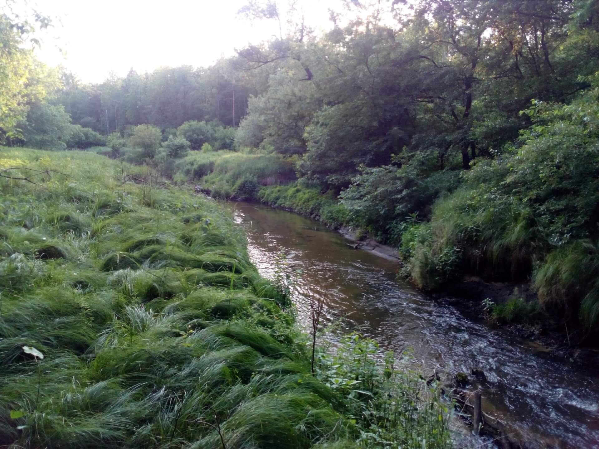Dolina Kochłówki jest pierwszym użytkiem ekologicznym w mieście