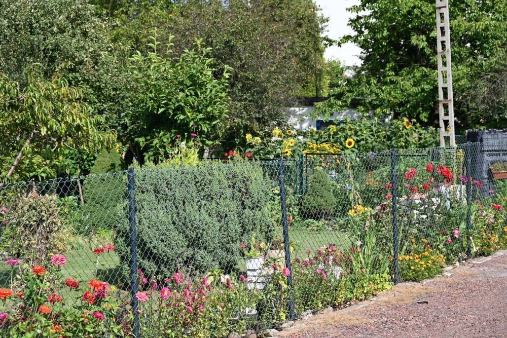 85be7eb417dba333f1e916c2facddbea 4086123366