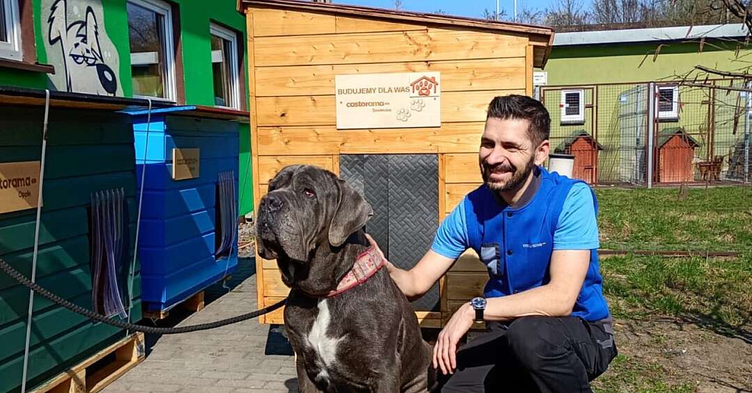 15 nowych bud dla rudzkiego schroniska!