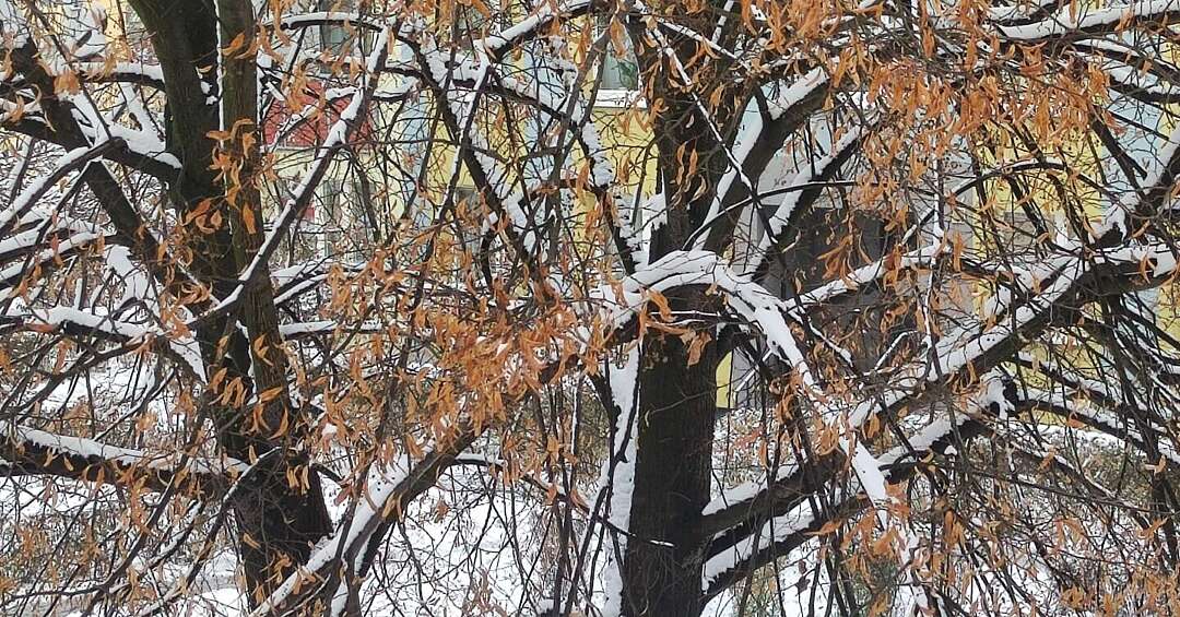 Pogoda w kratkę - co nas czeka w najbliższych dniach?