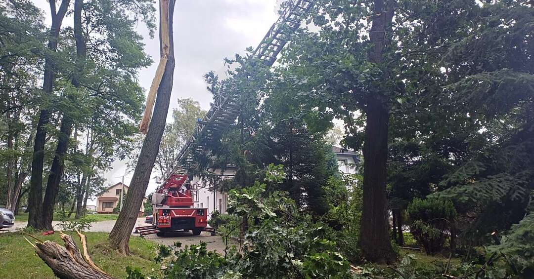 20 interwencji Straży Pożarnej w Rudzie Śląskiej. Powód - silny wiatr