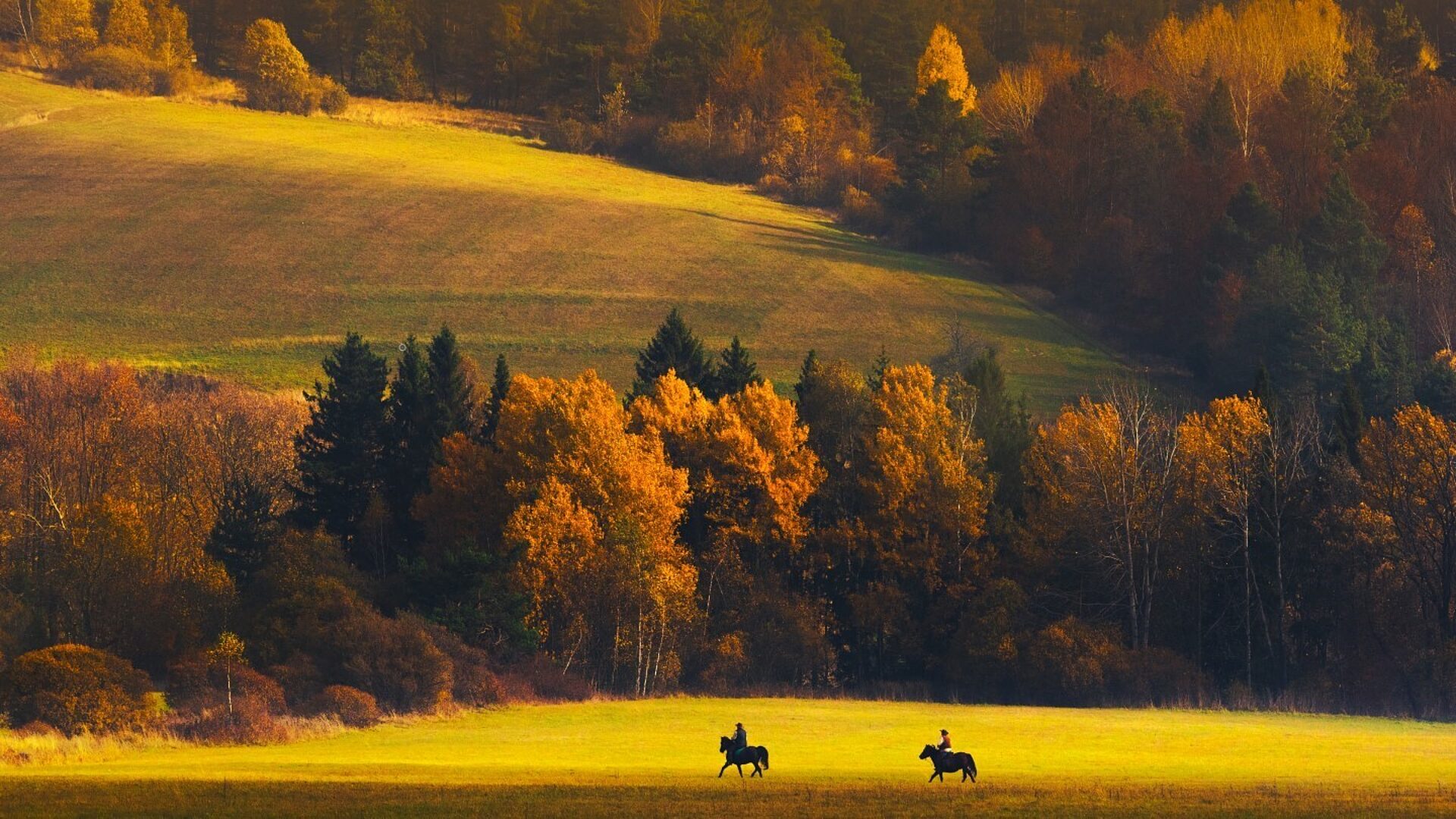 Bonanza fotografia gorska Bonanza fotografia gorska