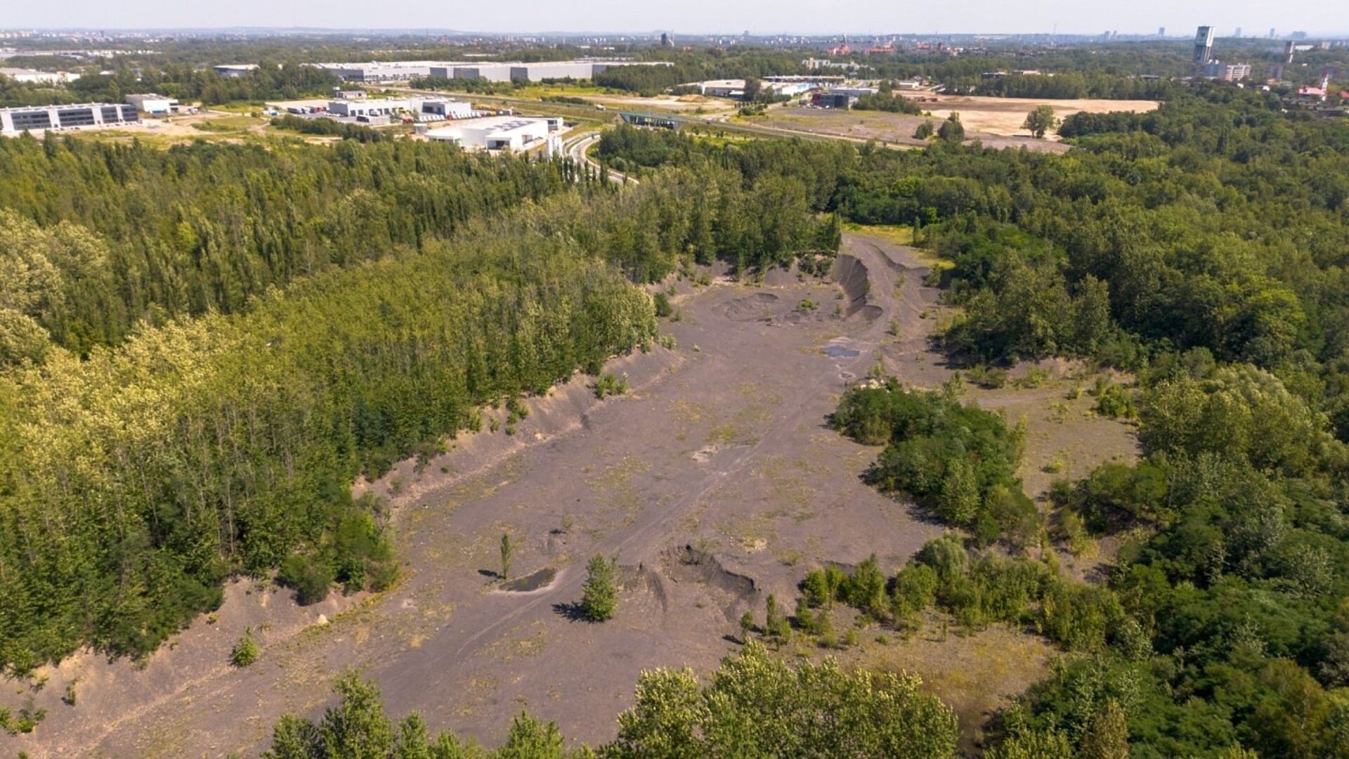 Halda bukowa MD 1 Halda bukowa MD 1