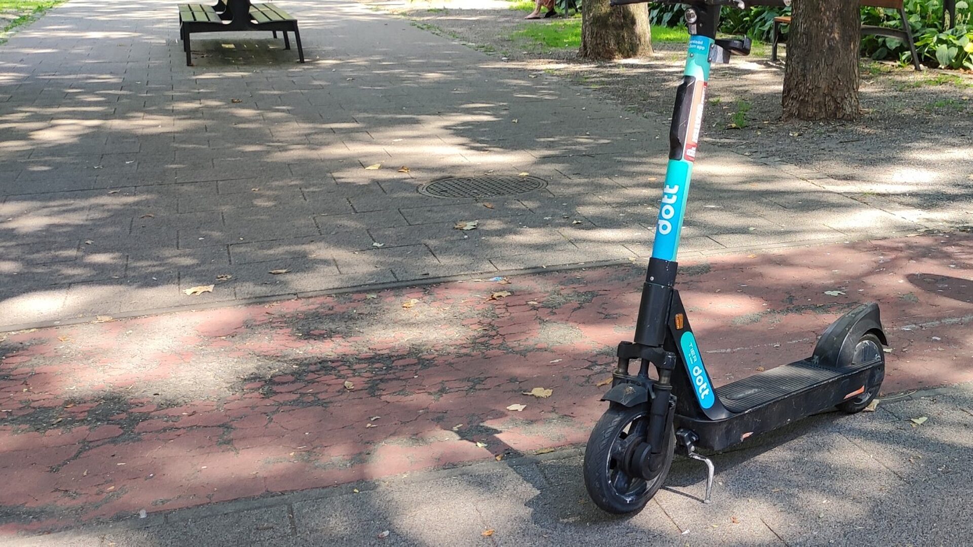 Hulajnoga ruda Hulajnoga ruda