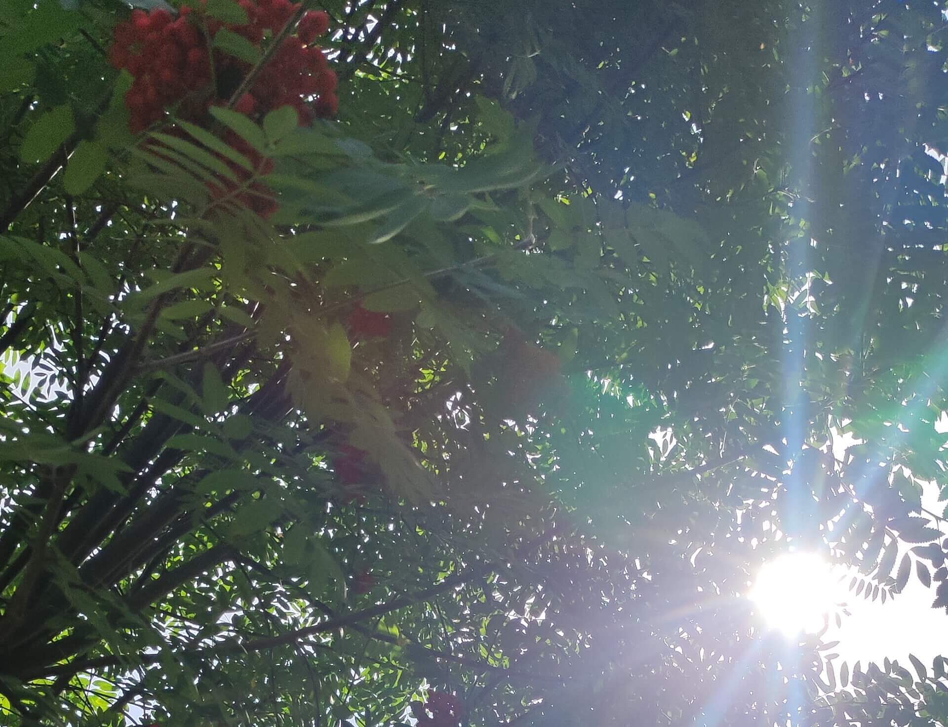 Pogoda ruda slaska1 Pogoda ruda slaska1