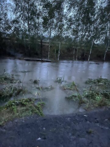 Kladka klodnica1 Kladka klodnica1