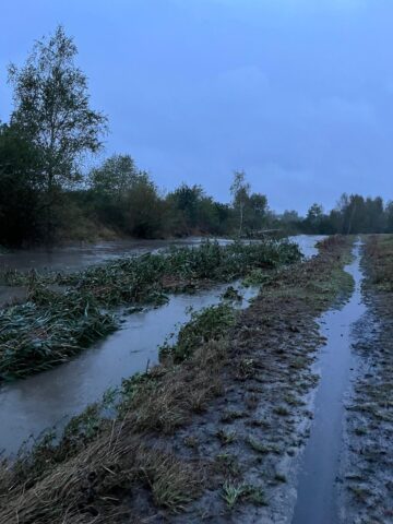 Kladka klodnica2 Kladka klodnica2