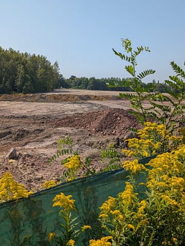 Bukowa MD 10 Bukowa MD 10