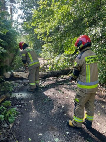 Burze ruda slaska3 Burze ruda slaska3