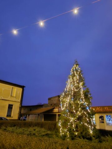 Choinka wypior 2 Choinka wypior 2