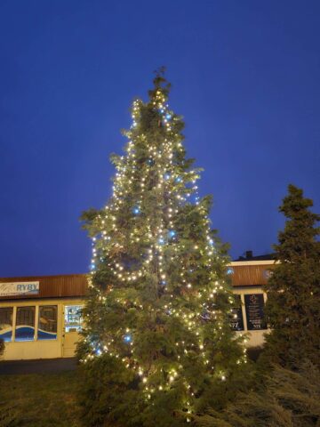 Choinka wypior1 Choinka wypior1