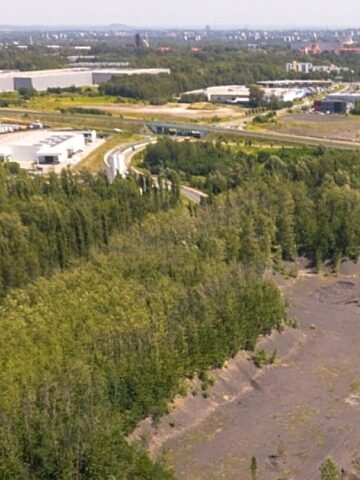 Halda bukowa MD 3 Halda bukowa MD 3