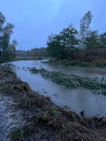 Kladka klodnica4 Kladka klodnica4