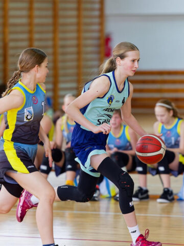 Koszykowka rudaslaska Koszykowka rudaslaska