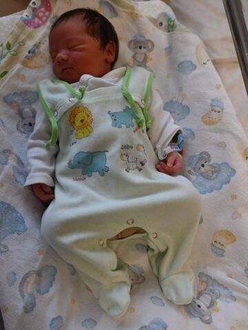 Pierwszy rudzianin 2025 Pierwszy rudzianin 2025