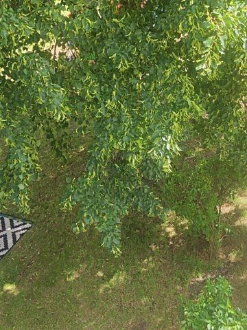 Pogoda ruda slaska Pogoda ruda slaska