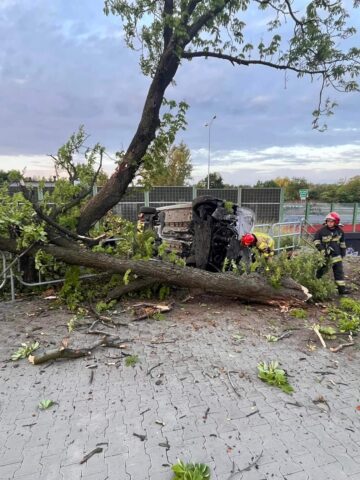 Wypadek dts5 Wypadek dts5