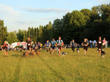 Dogtrekking park slaski 14