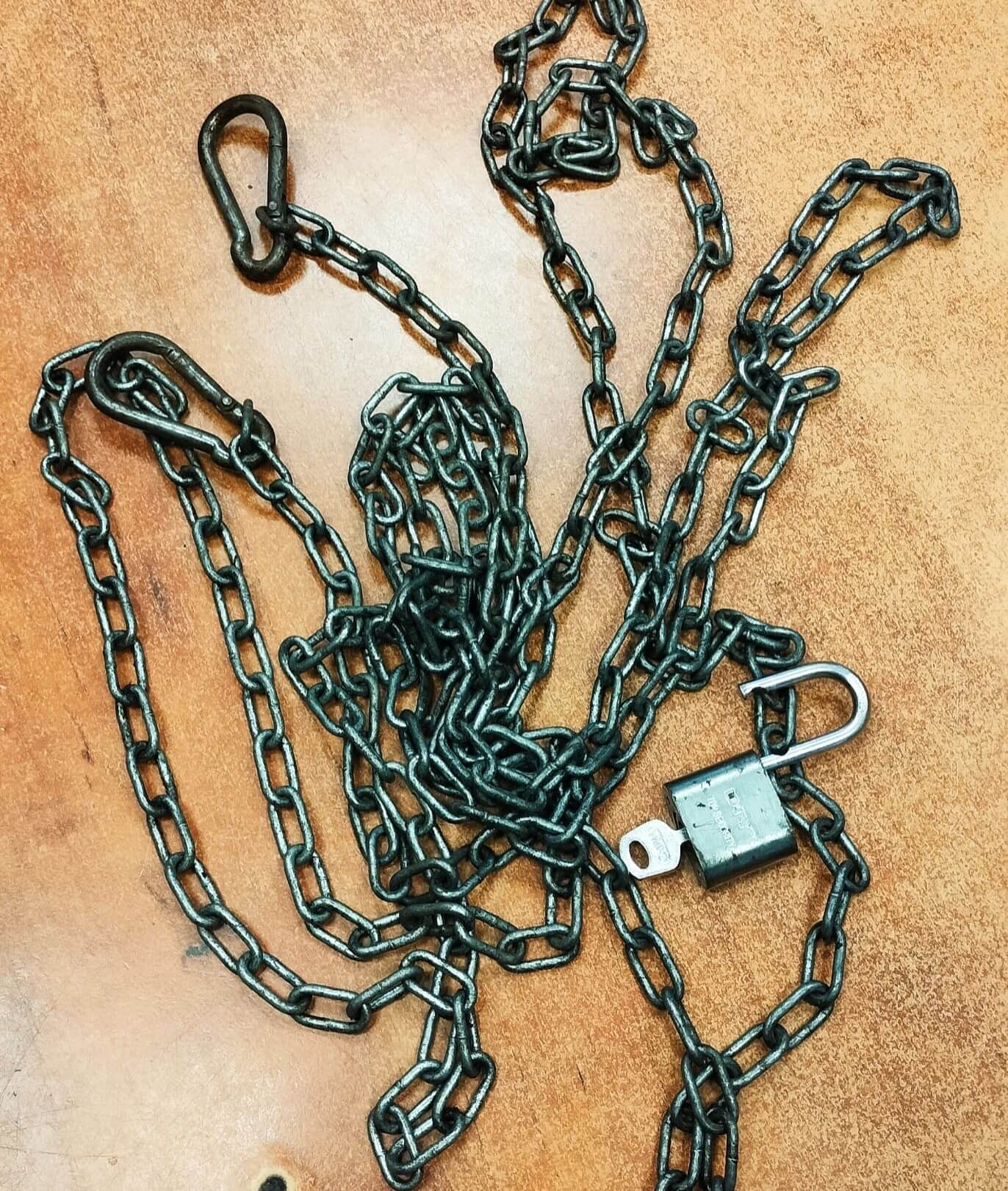 Dobreman ruda slaska8