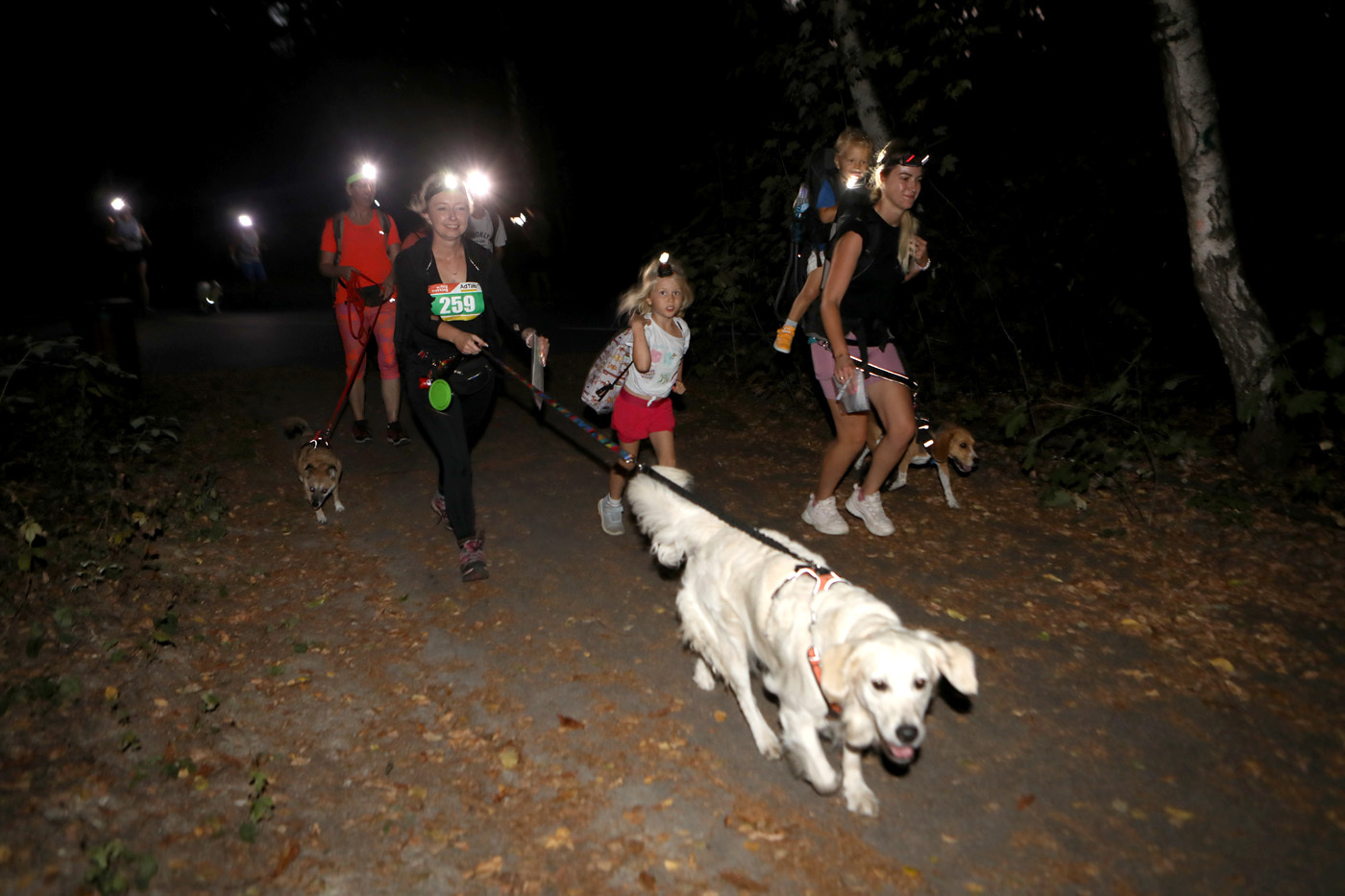 Dogtrekking park slaski 10