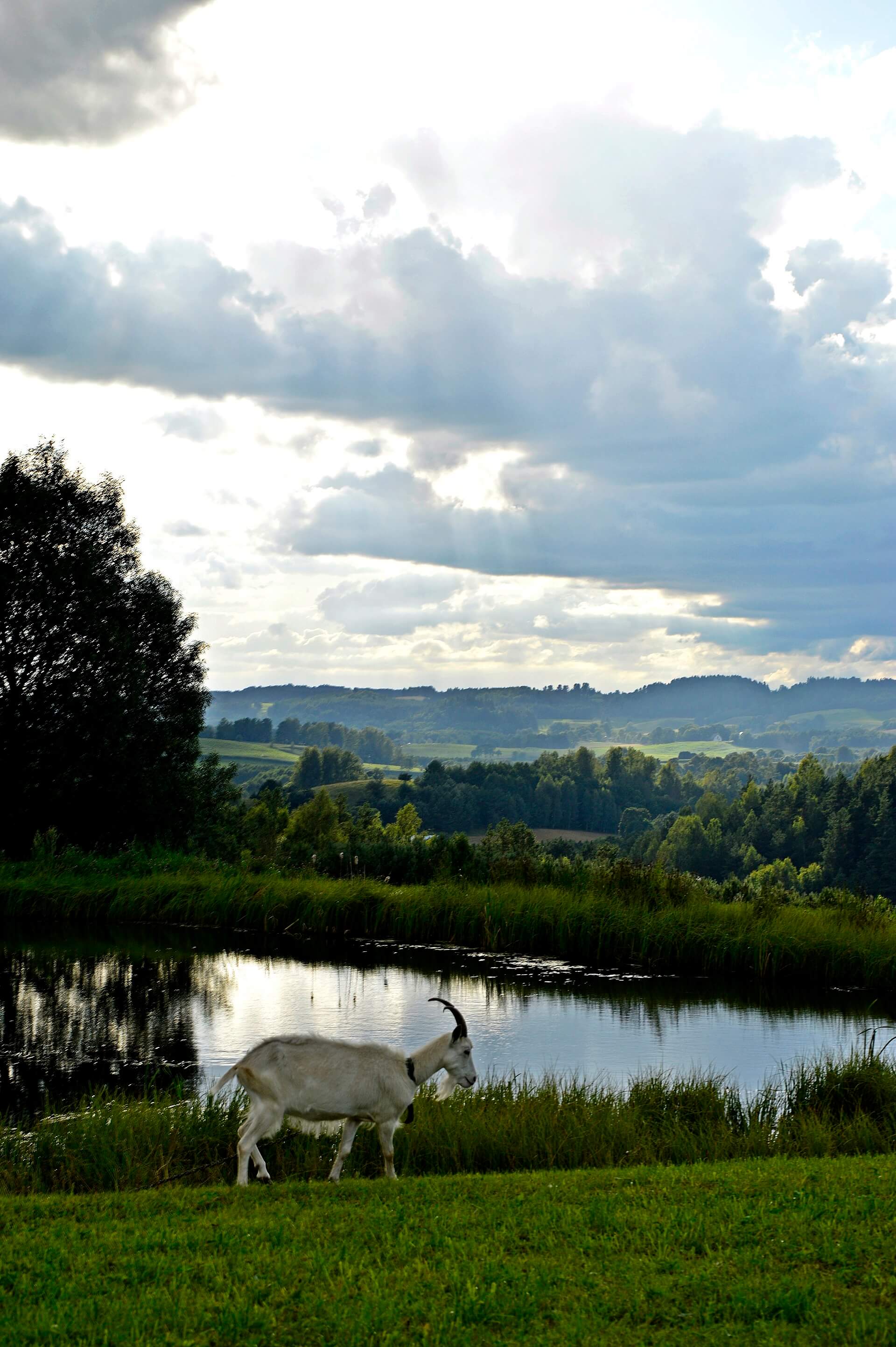 Dsc000 DSC0130